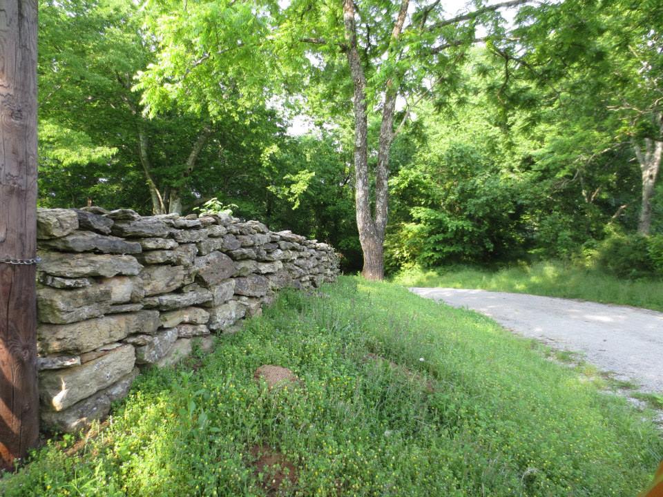 Prospect rock fence and tree.jpg